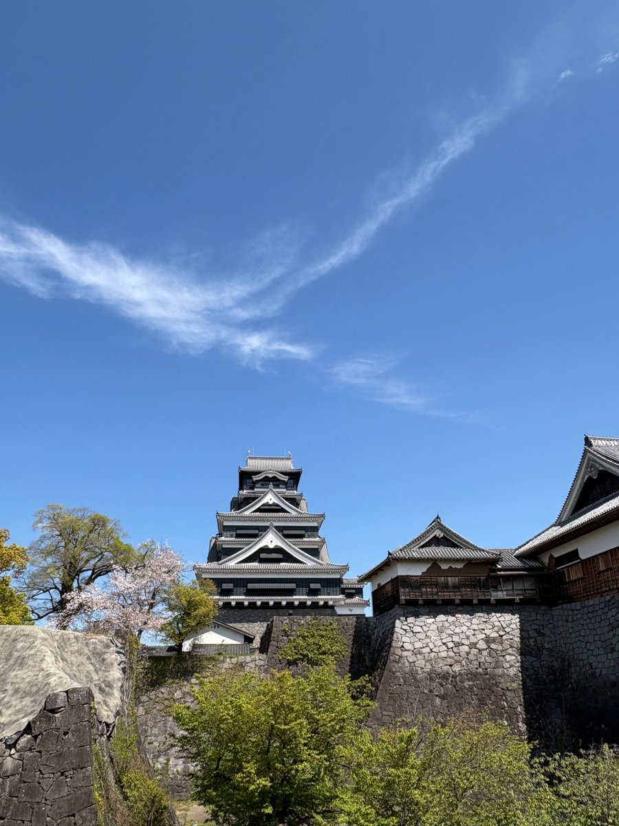 山口由里子 tweet media