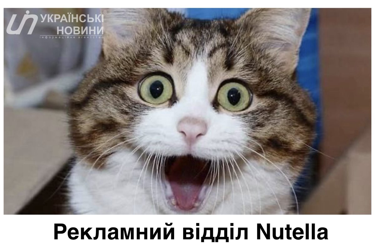 Українські Новини tweet media