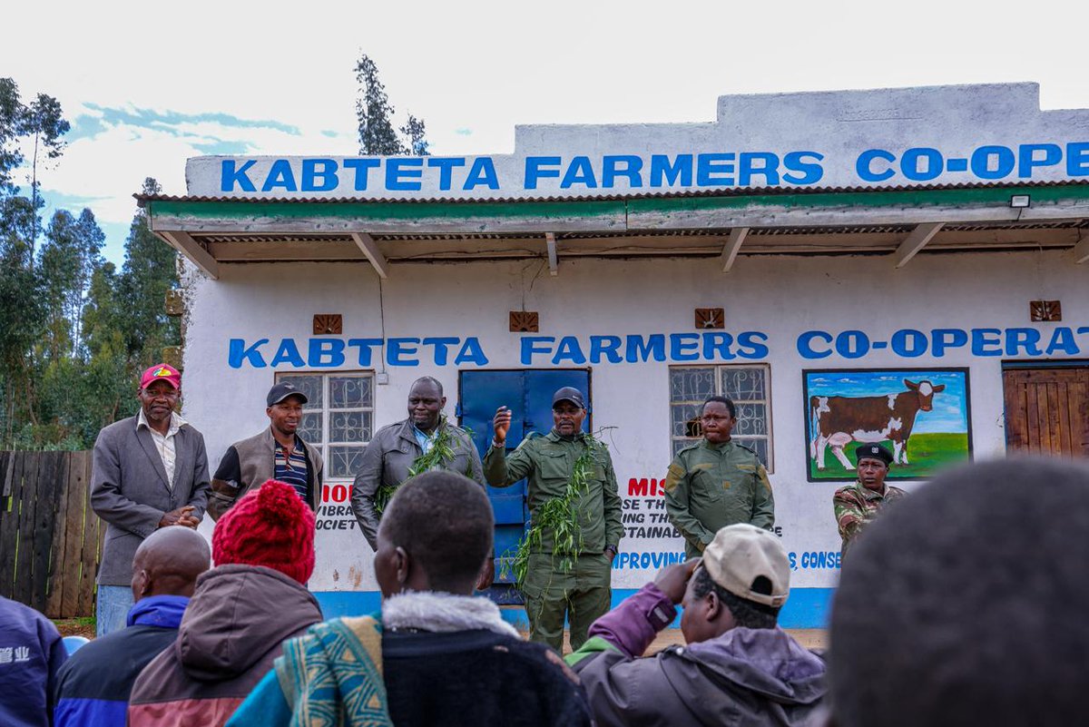 MauForestComplex_iclip tweet media