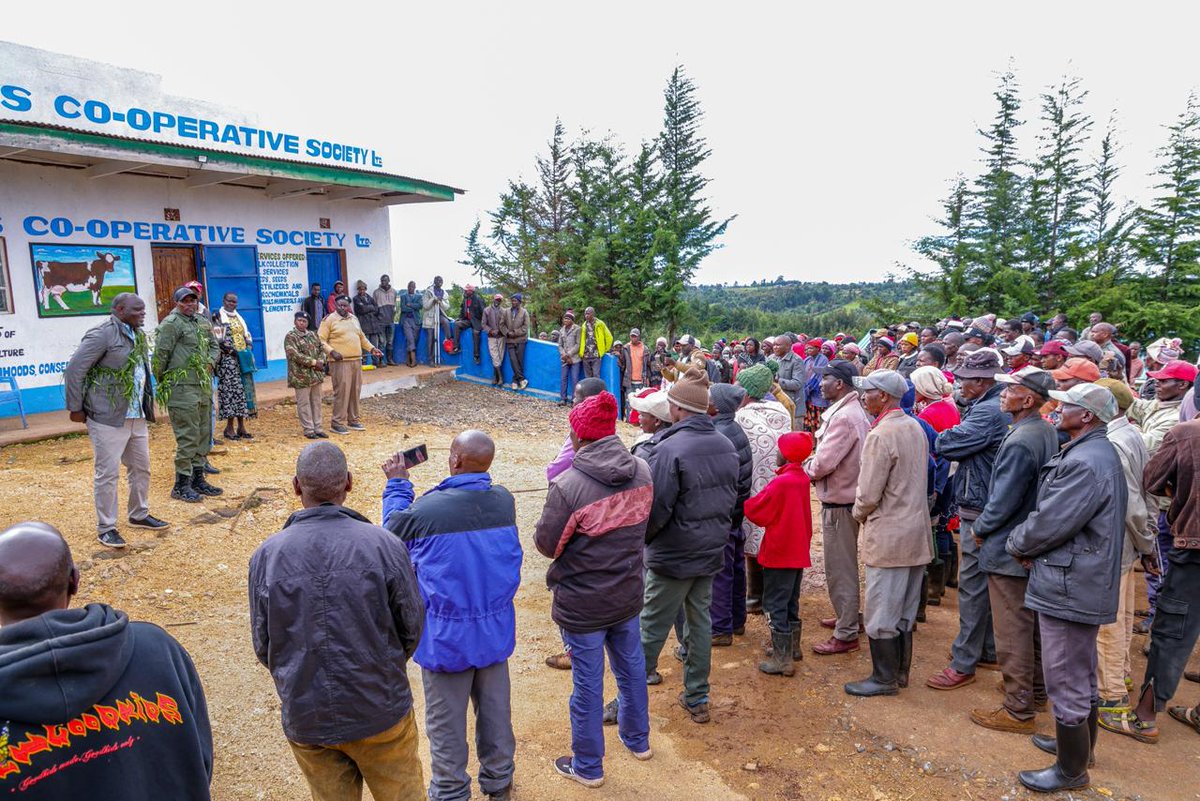 MauForestComplex_iclip tweet media