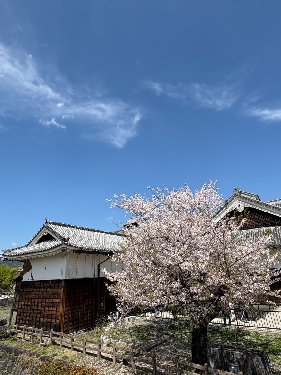 山口由里子 tweet media