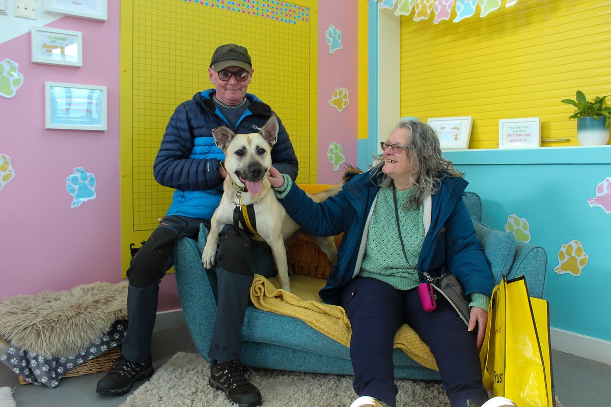 DogsTrust Darlington tweet media