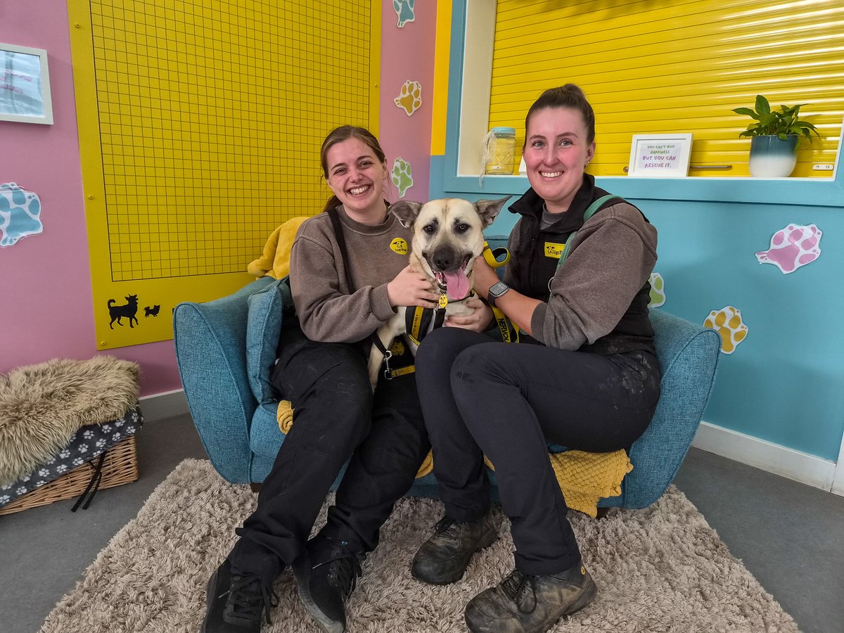 DogsTrust Darlington tweet media