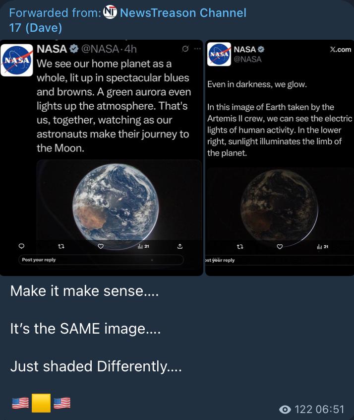 Lion Leonidas tweet media