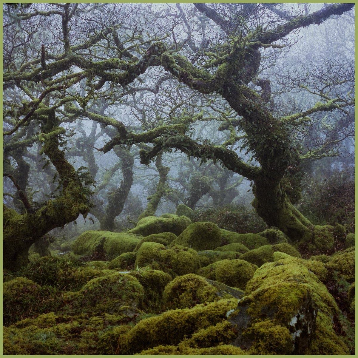 Neil Burnell tweet media