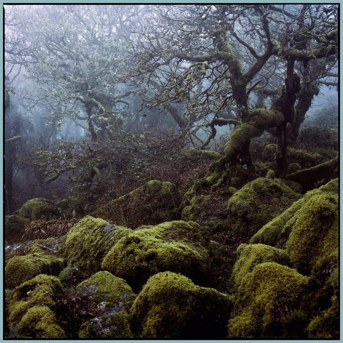 Neil Burnell tweet media