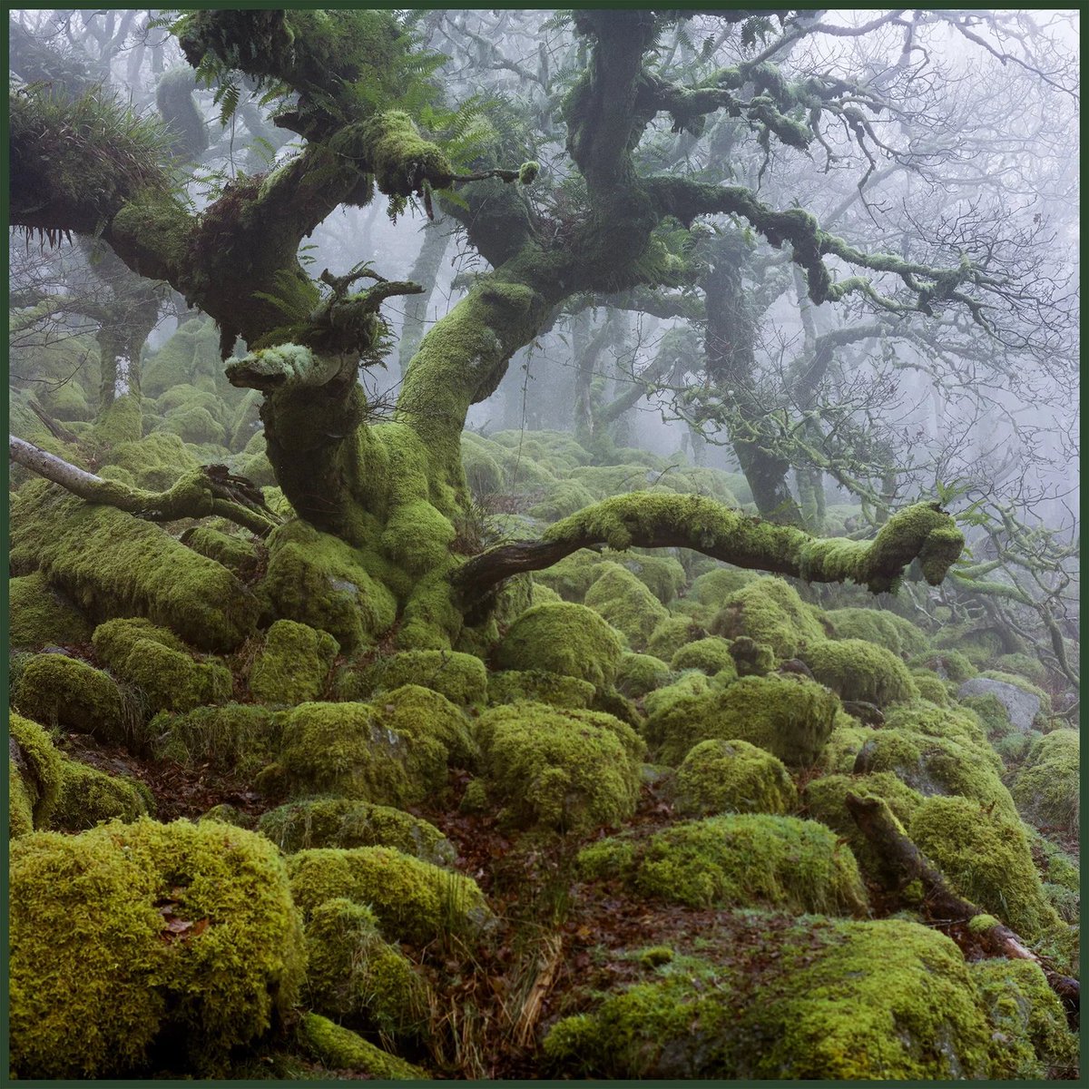 Neil Burnell tweet media