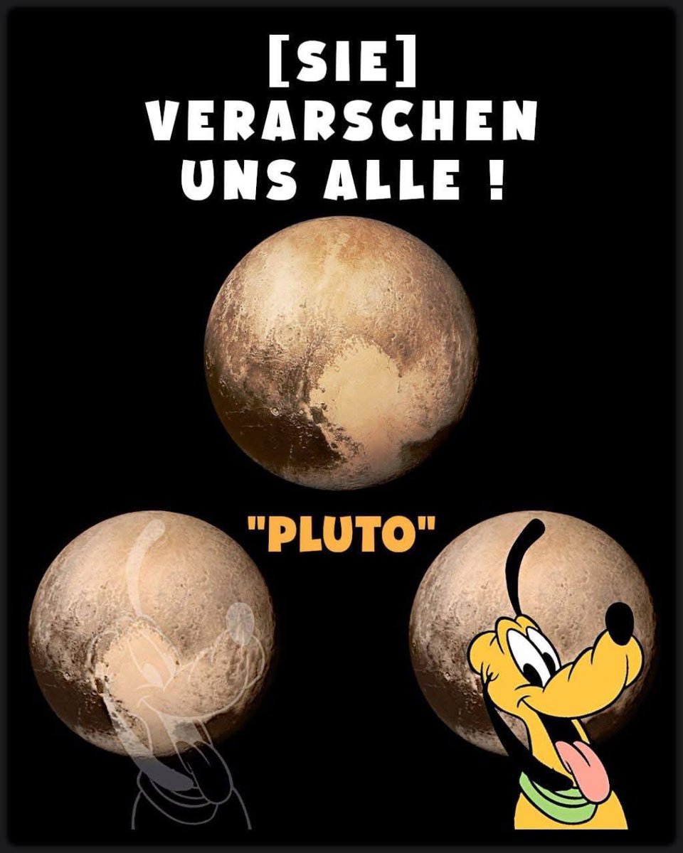 Lion Leonidas tweet media