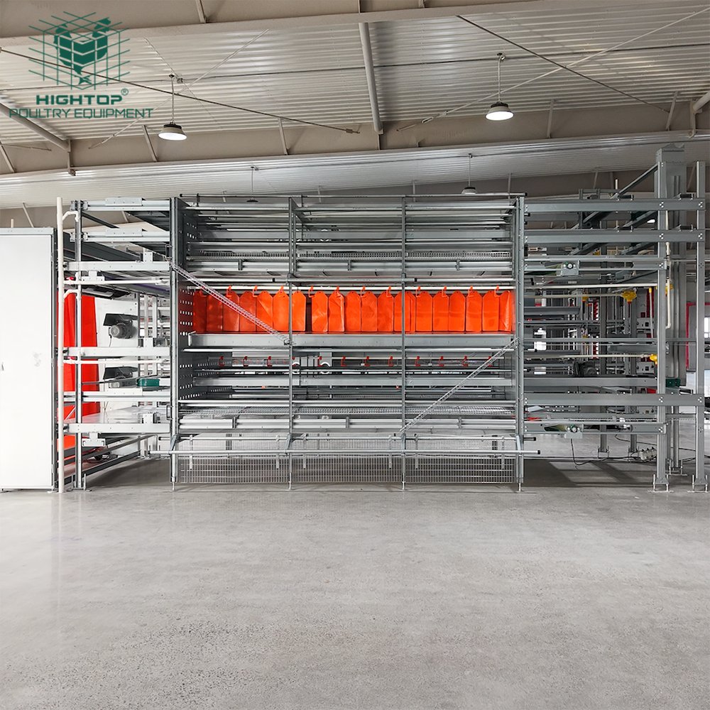 HightopPoultry's tweet photo. Welfare cages reduce stress 🐔❤️, improve hygiene 🧼, and help produce cleaner eggs with stronger shells 🥚📈 https://t.co/eEcWclvAs7