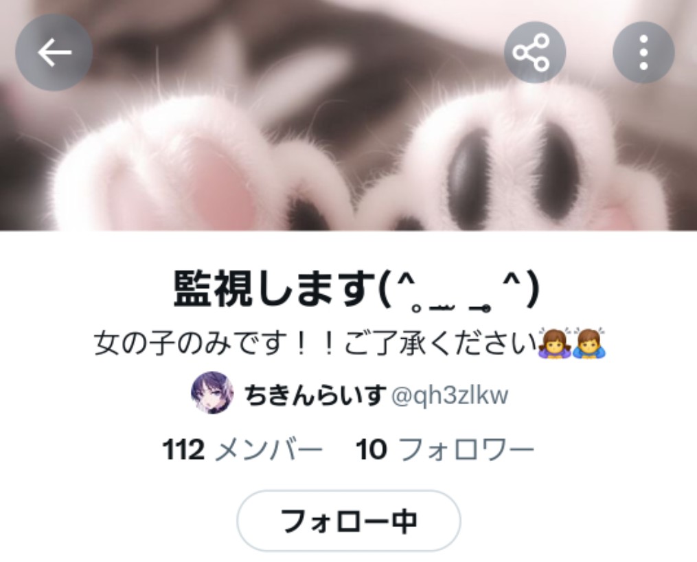 ✦ ⋆ ࣪. tweet media