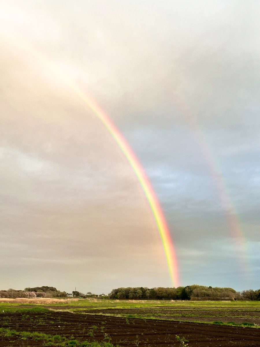 ゆう☆スプリント tweet media