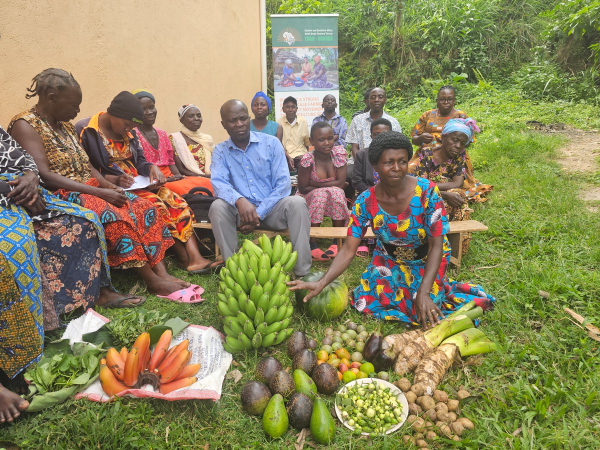 ESAFFUG's tweet photo. On this #WorldHealthDay, we emphasize the importance of eating agroecologically grown foods for a healthier life. At @ESAFFUG, we value your well-being because good health is essential for active and productive daily living.

Choose agroecological foods today—for a healthier body, a healthier community, and a healthier future.

Happy World Health Day!

#TogetherforHealth
#HealthyLiving