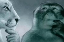 brhoomi07 | twis🧠🇧🇭 tweet media