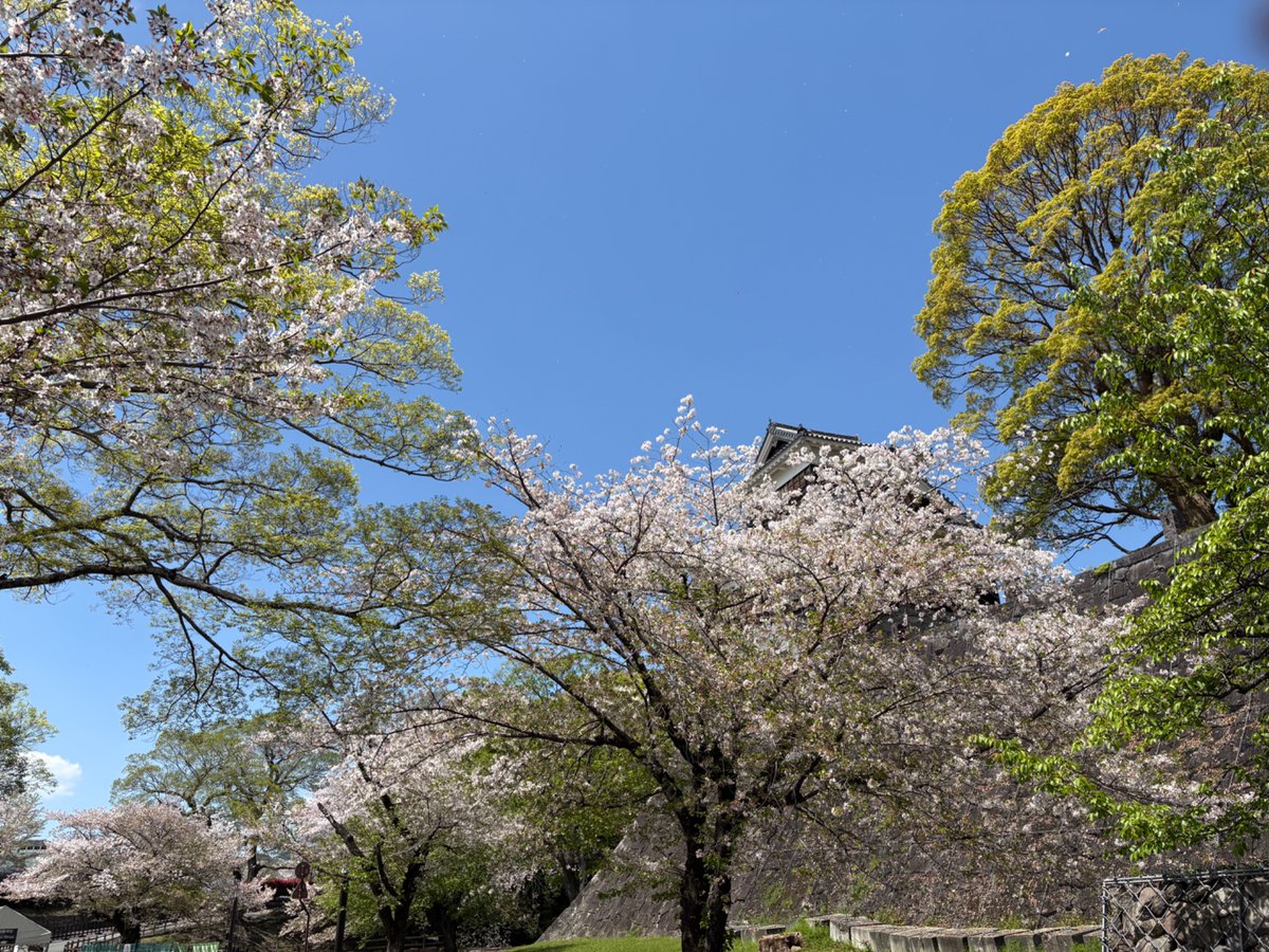 山口由里子 tweet media