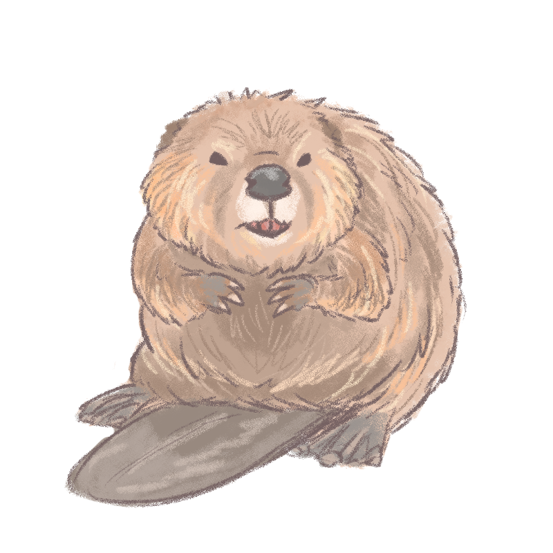 「International Beaver Day」|裕司‧威爾斯(ウェルシュ)のイラスト