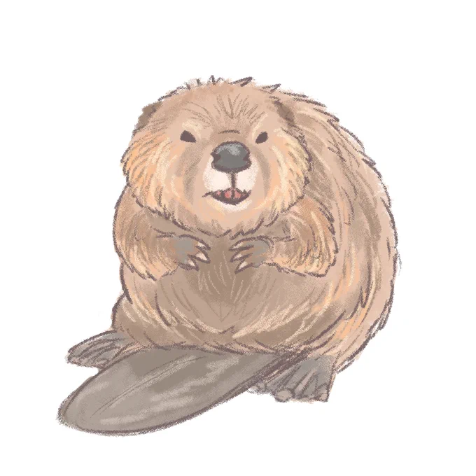 International Beaver Day