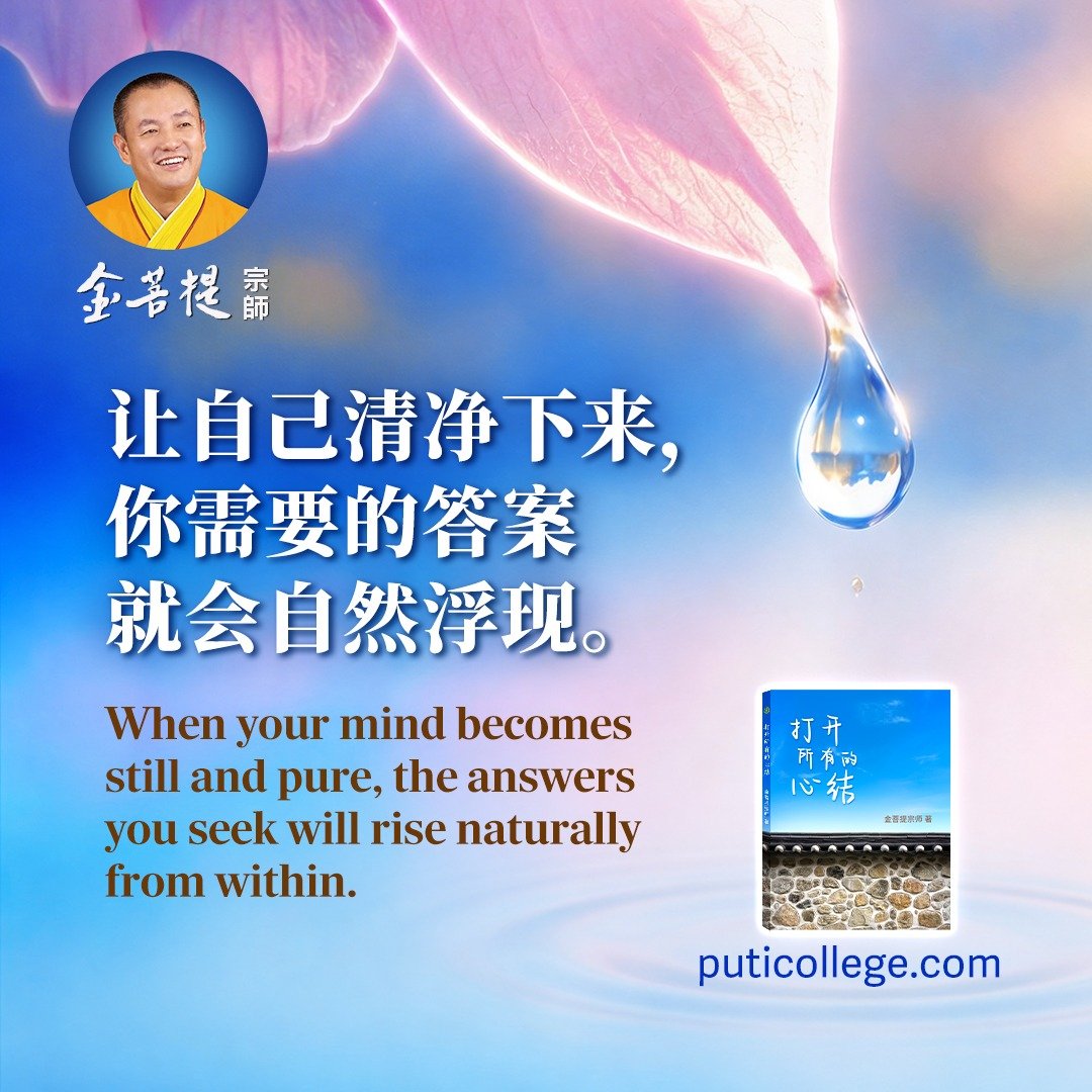 金菩提宗师 Master JinBodhi tweet media