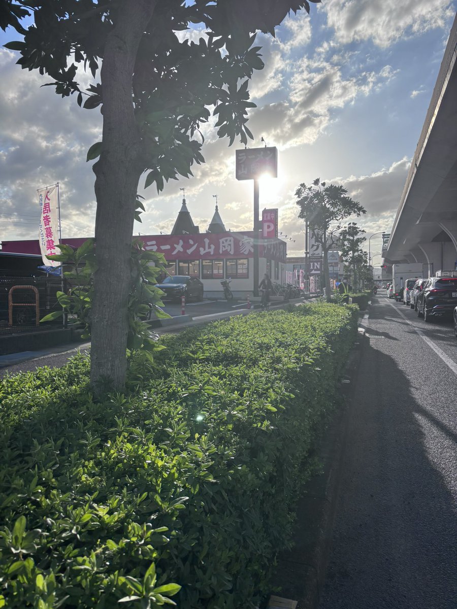 ナカマカナ tweet media