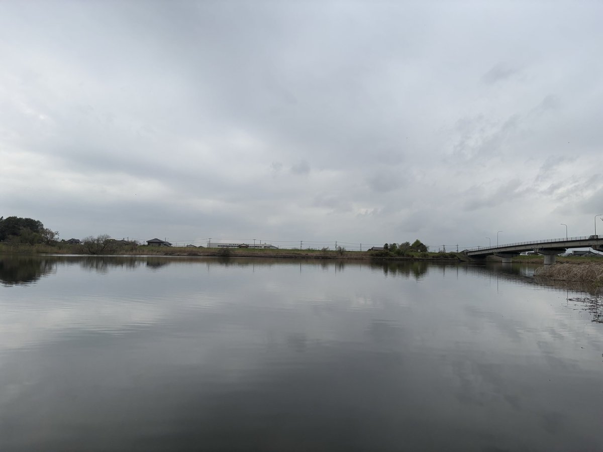 ぐっさん tweet media