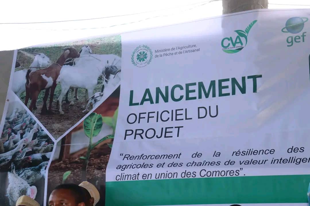 CDnsae's tweet photo. Face aux défis du climat, l’Union des Comores a lancé le Projet CVA pour une agriculture résiliente et durable. 8 CRDE mobilisés sur les 3 îles.
Inclusion, gouvernance, et action collective déjà en marche!
#CVAComores #AgricultureDurable #RésilienceClimatique #PNUD #GEF https://t.co/OrrjIG4bwx