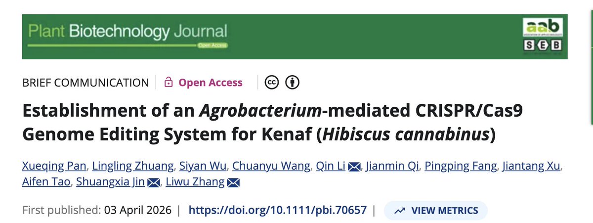 WIMI Biotech tweet media