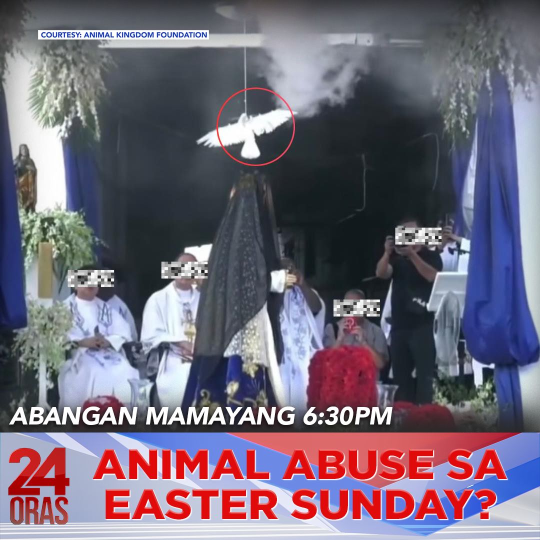 GMA News tweet media