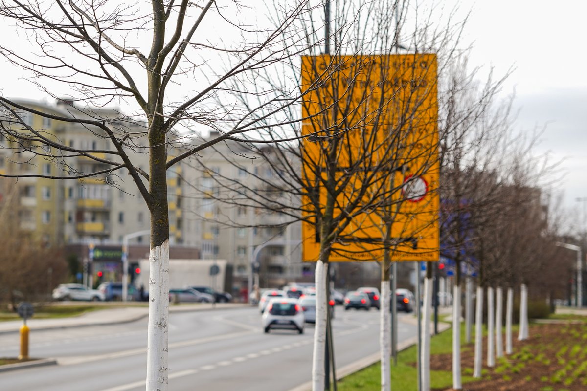 ZDM_Warszawa's tweet photo. Wzdłuż św. Wincentego wyrosła „zielona ściana”. Między ul. Kondratowicza a skrzyżowaniem z ulicami Malborską i Przy Grodzisku zasadziliśmy 43 nowe drzewa i ok. 1000 m2 krzewów, bylin i traw. ℹ️ https://t.co/QSNymWKLdo https://t.co/FhVTBQ1Bip