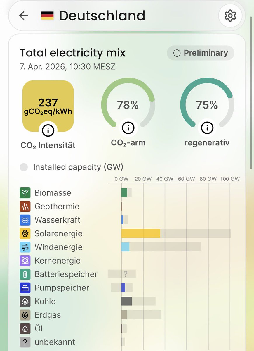 Anna Vero Wendland tweet media