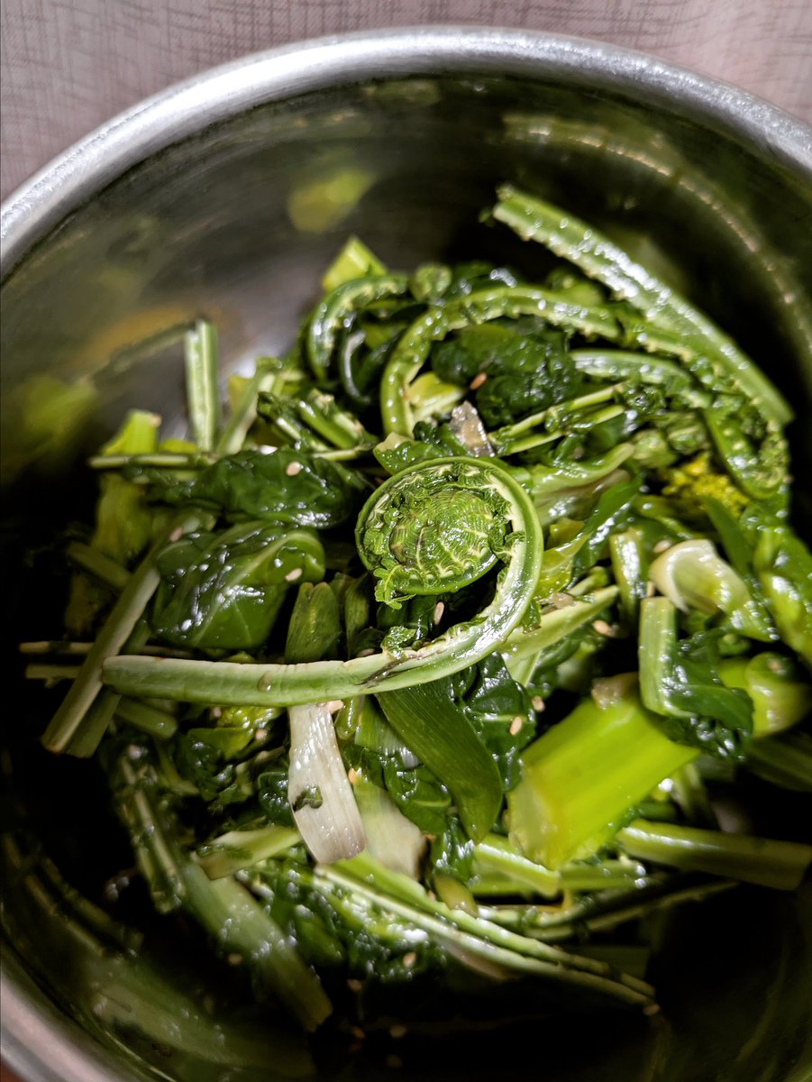 菜の花とヤブカンゾウとコゴミをナムルにして3日間分のおかず完成。山菜は家計の味方。