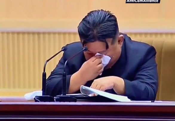 𝑨𝒚𝒆𝒔𝒉𝒂 𝙉 tweet media