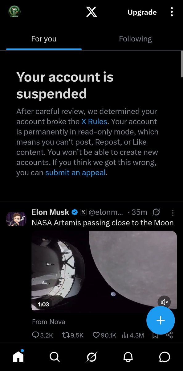 L-S-F (1) tweet media