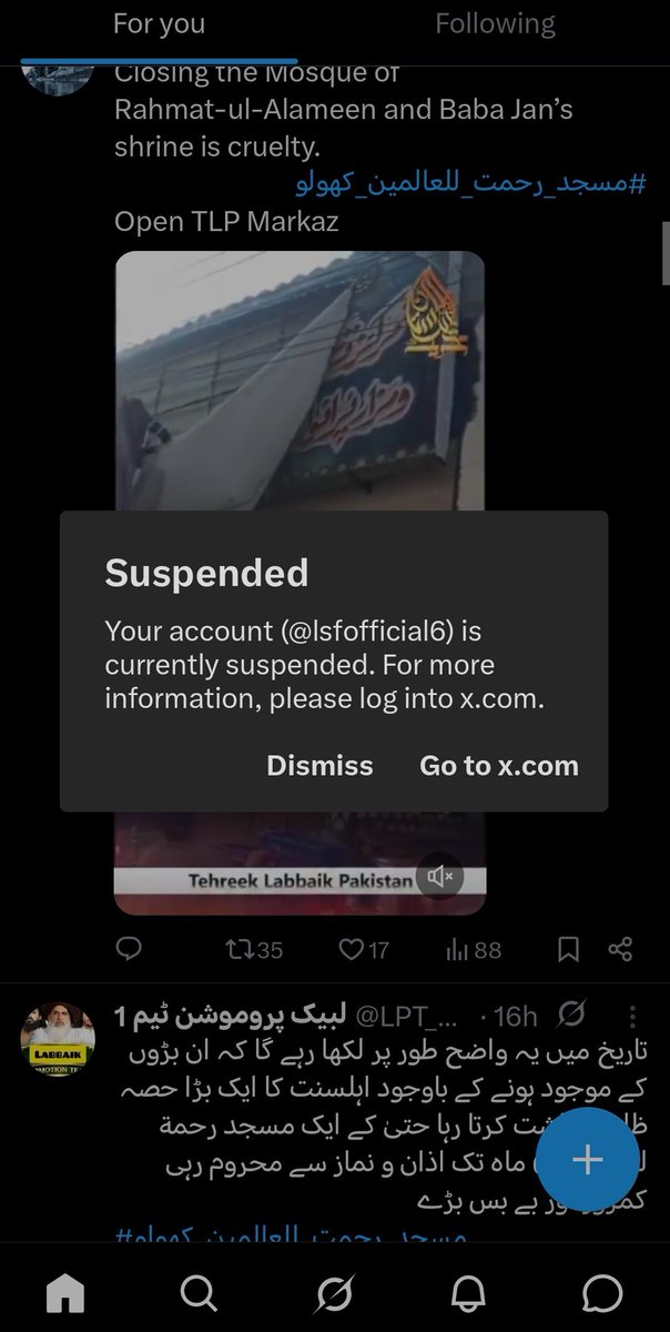 L-S-F (1) tweet media