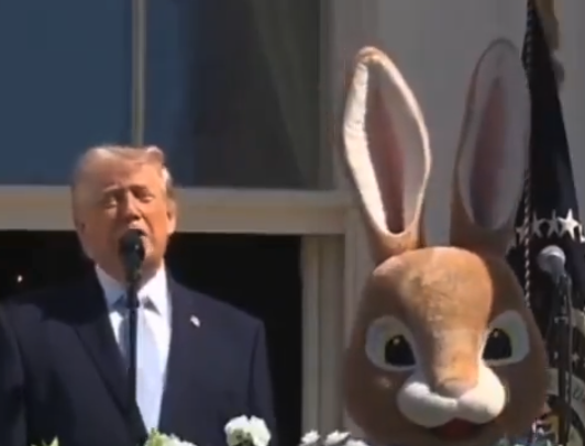 mikel ayestaran tweet media