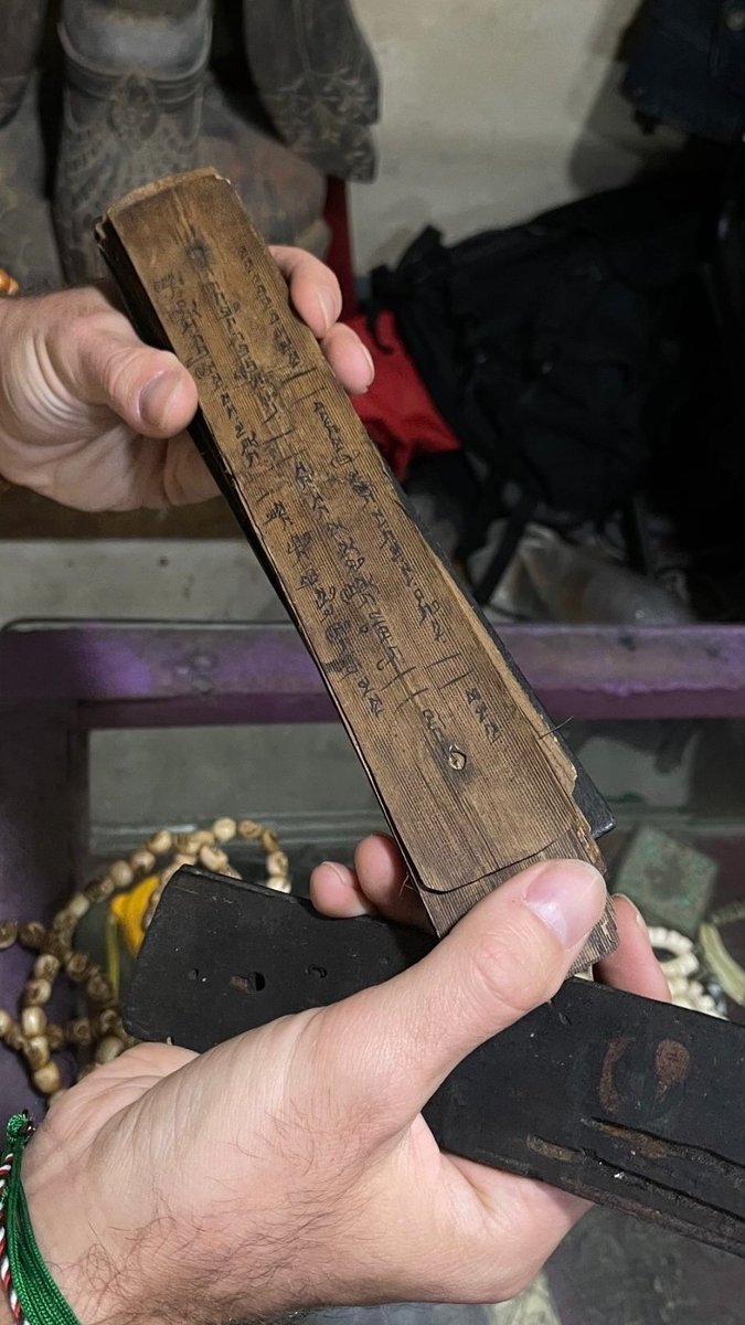 Brenda 𓅓 tweet media