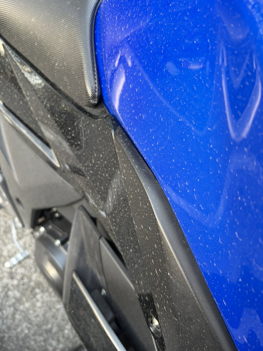 Mr.いかすみ tweet media