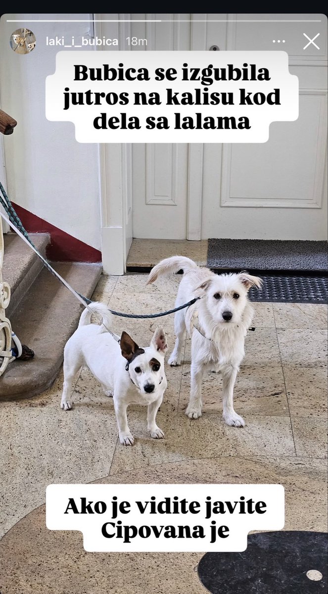 Cake Powder tweet media