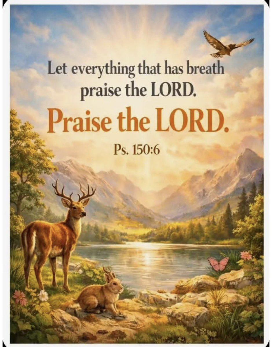 Katrina ✨🌸 tweet media