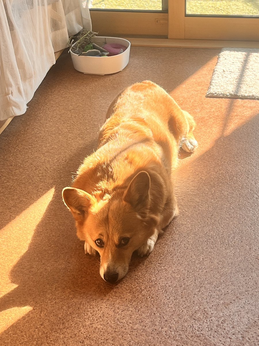 小室友里®｜男女コミュニケーション心理士®︎ tweet media