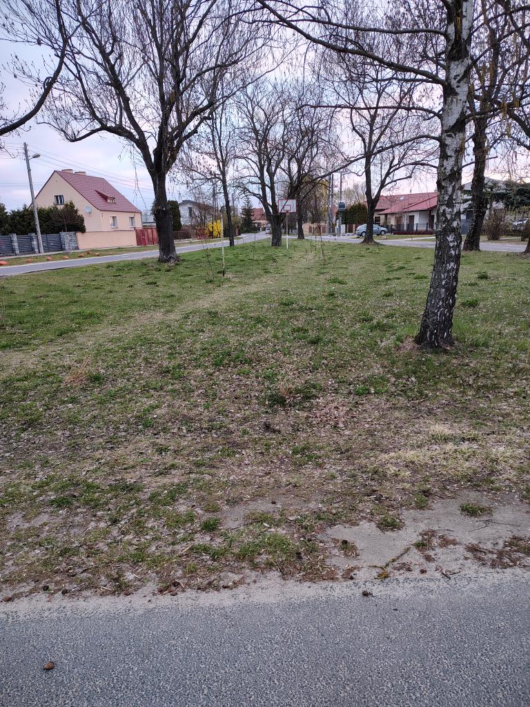 Evan Eskenbrand tweet media