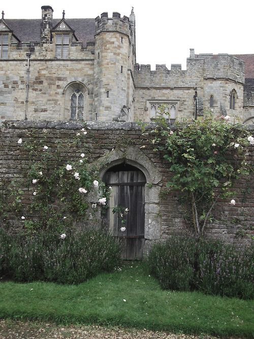 lucía ౨ৎ tweet media