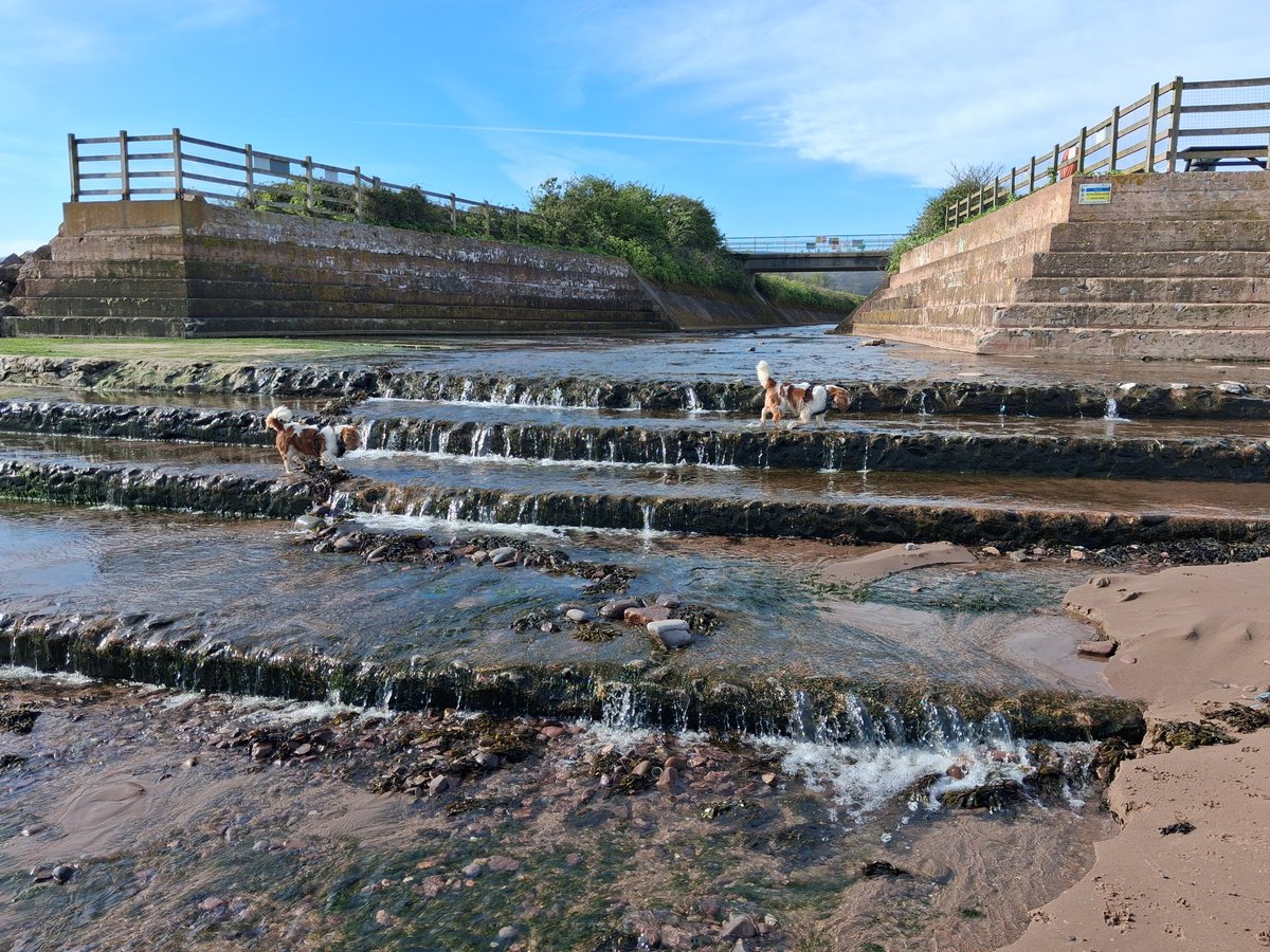 Dog Walker & Pub Lunches & Garden Smoker. Millwall tweet media