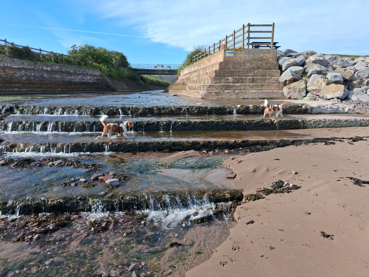 Dog Walker & Pub Lunches & Garden Smoker. Millwall tweet media