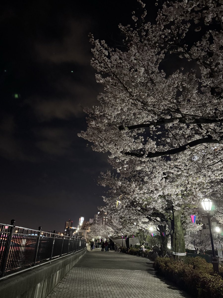 小島嵩弘 tweet media