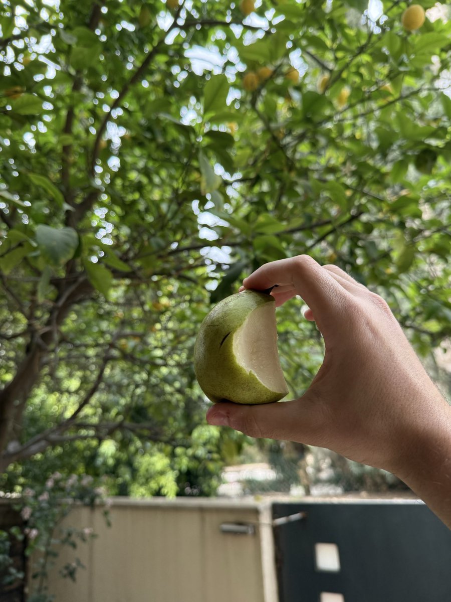 counterparty tweet media