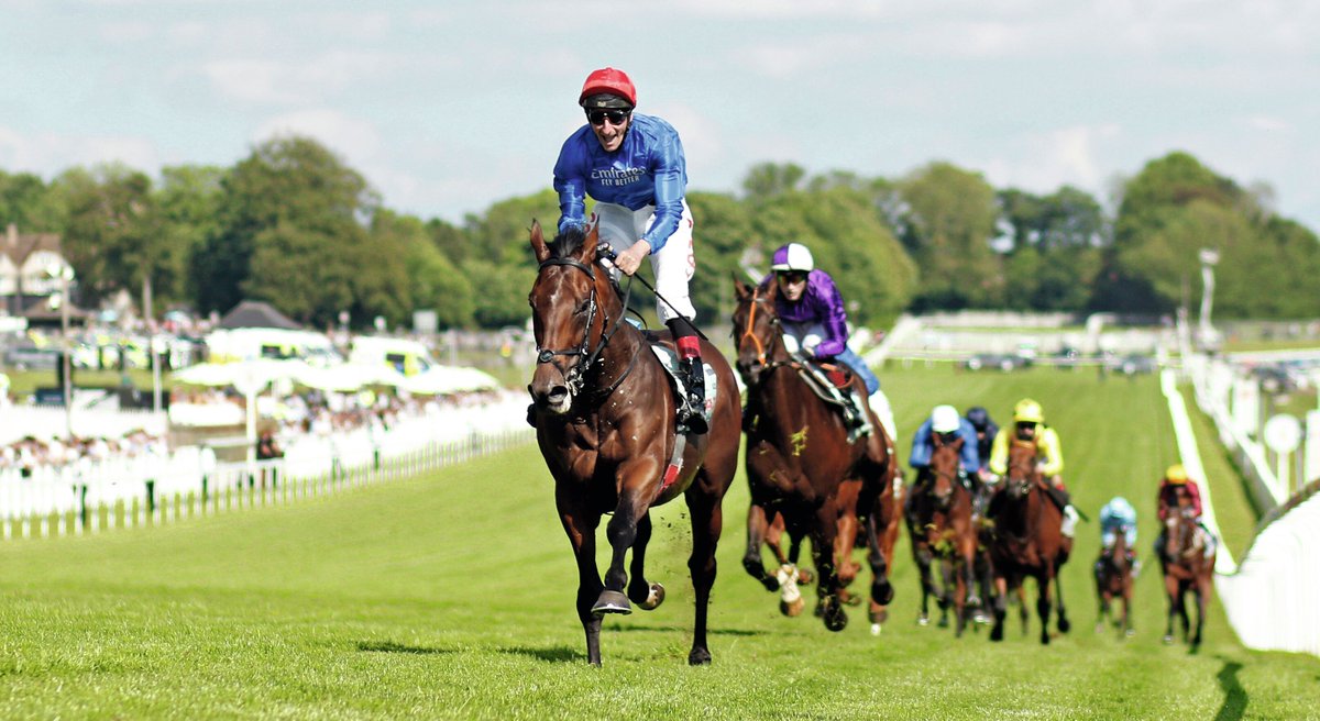 Godolphin tweet media