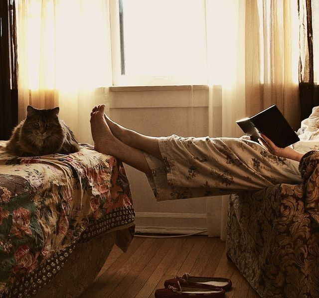 ⋅ꫂ ၴႅၴ. tweet media