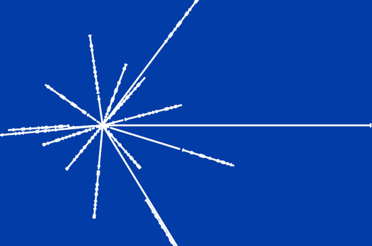 ☀️AliquisNovus☀️ tweet media