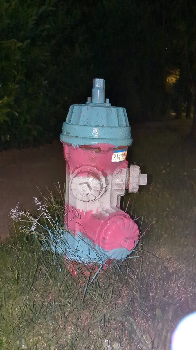 Nikki Morgen Comix tweet media