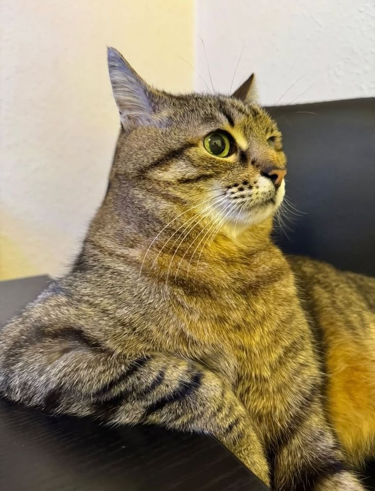 avgreplyguy tweet media