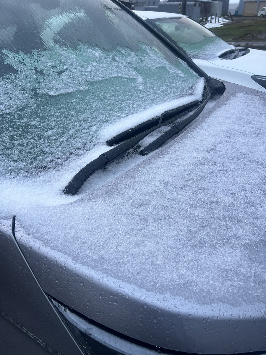 ハンサム はんちゃむ@食べ物アカウント tweet media